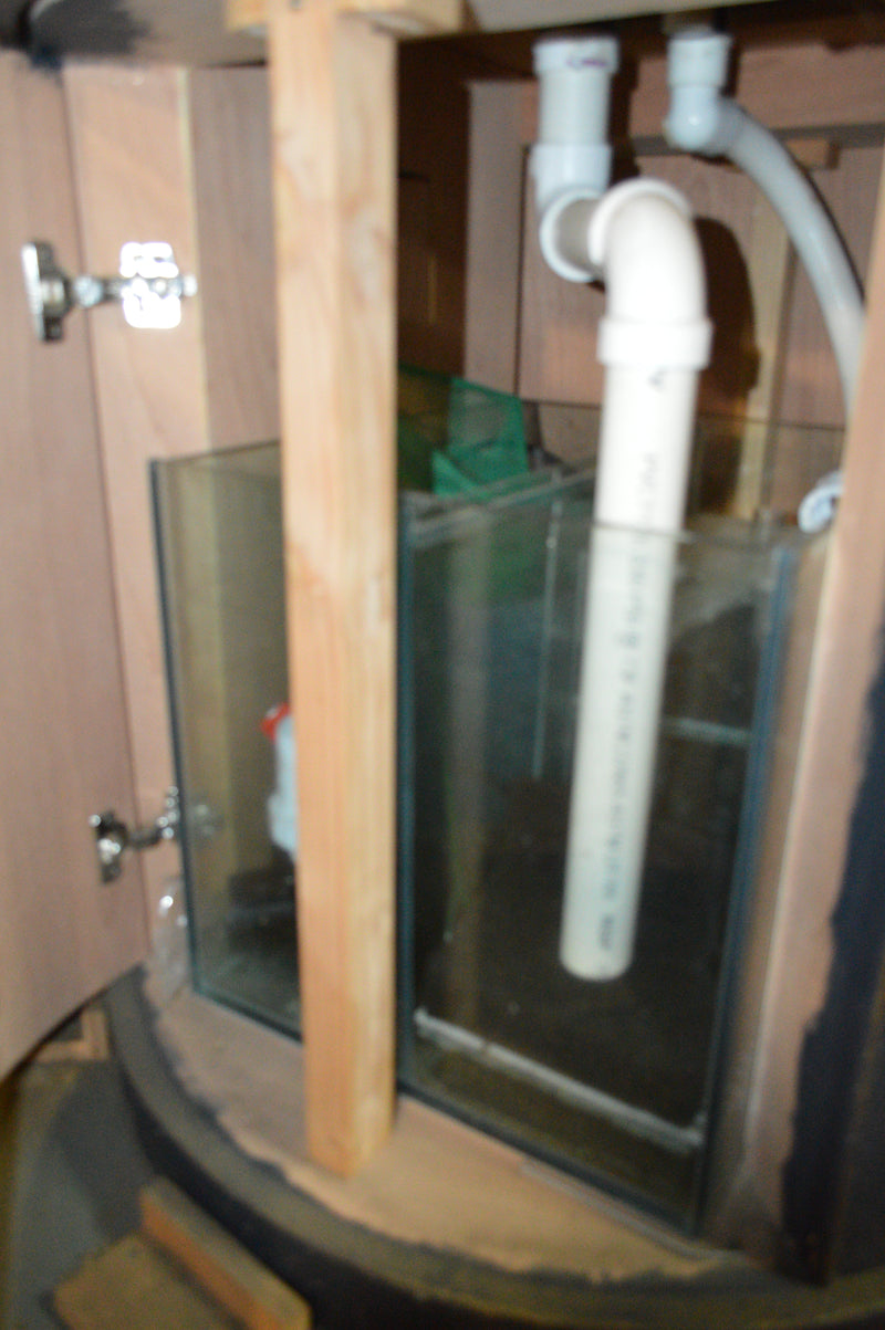 SALT WATER FISH TANK