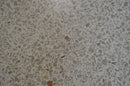 COMMERCIAL SHOWER BASE / PAN *