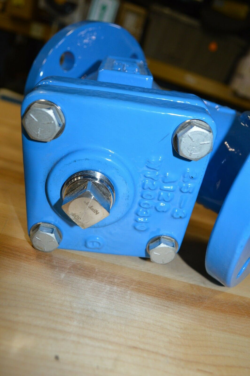 Watts 2-1/2" 77F Cast Iron Wye Strainer (77F-DI-FDA-125)